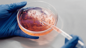 Understanding Pipettes